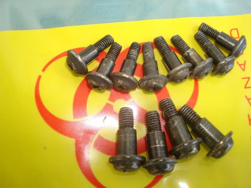 Goldwing GL1200 84 to 87 Set of carburetor top-plate screws.