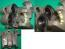 Goldwing GL1500 91 to 00 Rear Caliper #14